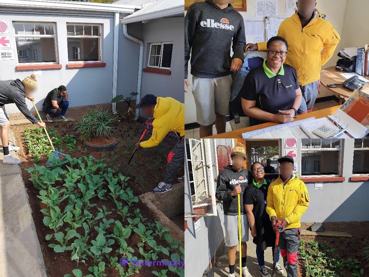 Cultivating growth and recovery: SANCA Wedge Gardens’ therapeutic power of gardening